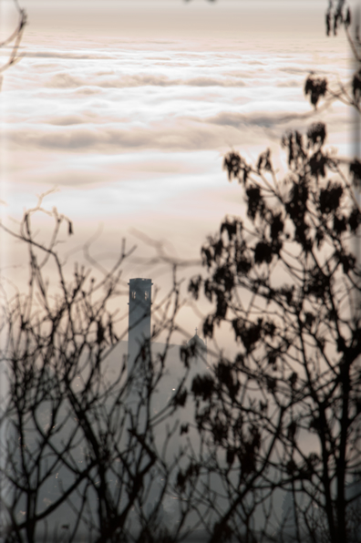 foto Colline di Romano d'Ezzelino nella Nebbia